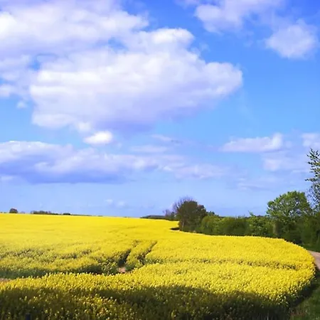 Ferienbungalow Buhne Mit Kamin In * Boltenhagen (Ostseebad)