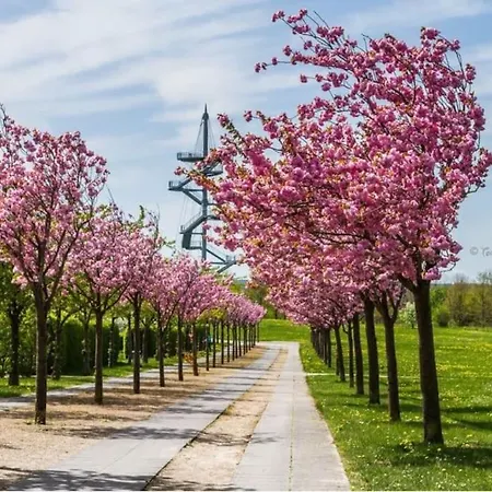 Ferienbungalow Buhne Mit Kamin In *