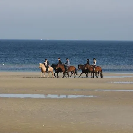 Ferienbungalow Buhne Mit Kamin In * Boltenhagen (Ostseebad)