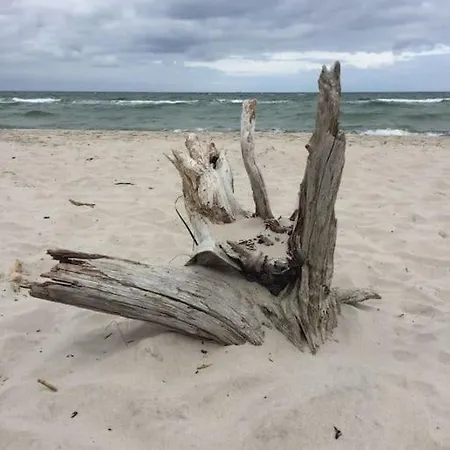Ferienbungalow Buhne Mit Kamin In Ostseebad Boltenhagen