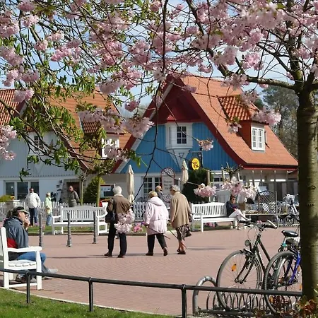Ferienbungalow Buhne Mit Kamin In Lägenhet Boltenhagen (Ostseebad)