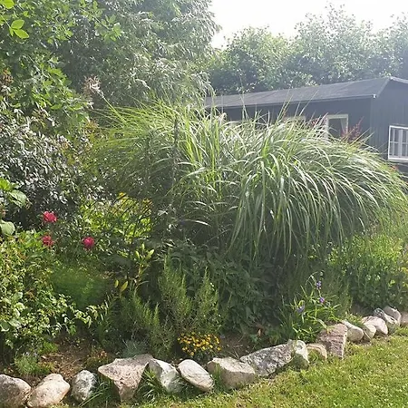 Διαμέρισμα Ferienbungalow Buhne Mit Kamin In