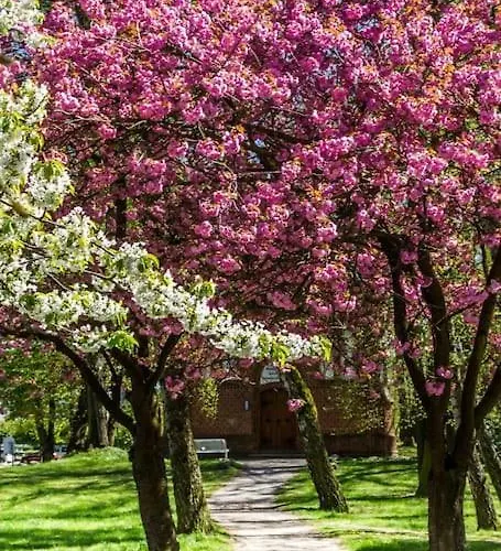 Ferienbungalow Buhne Mit Kamin In شقة بولتينهاجين