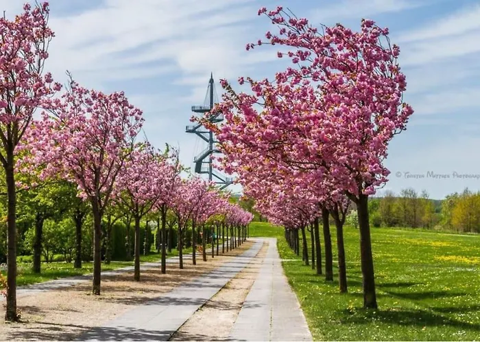 Ferienbungalow Buhne Mit Kamin In *