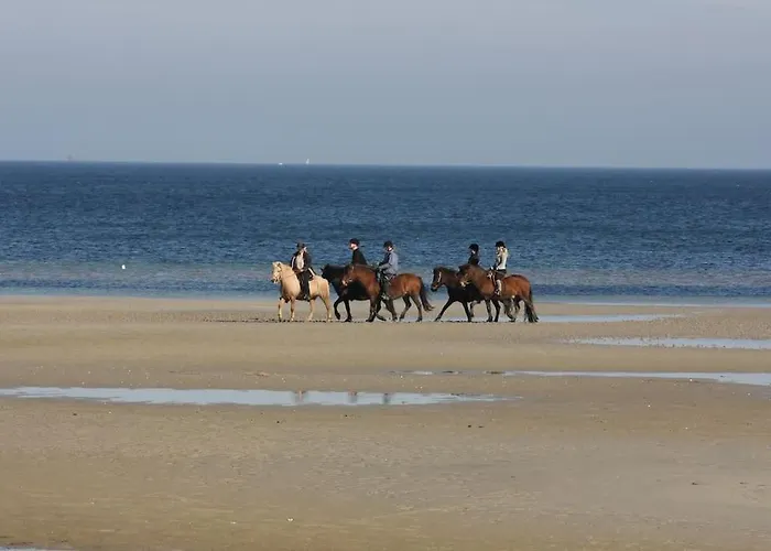 Ferienbungalow Buhne Mit Kamin In * بولتينهاجين