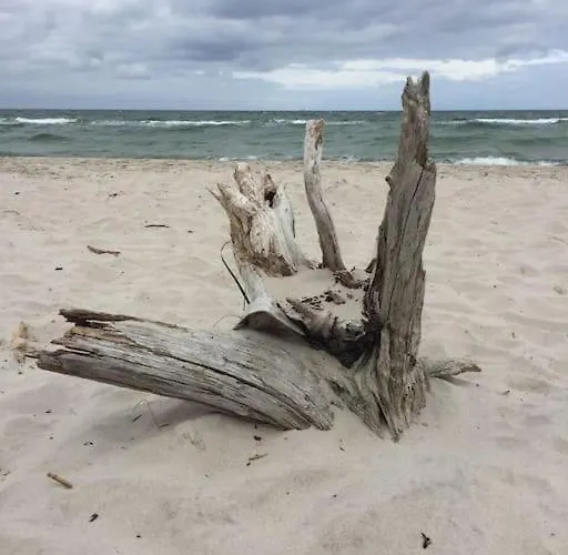 Ferienbungalow Buhne Mit Kamin In بولتينهاجين