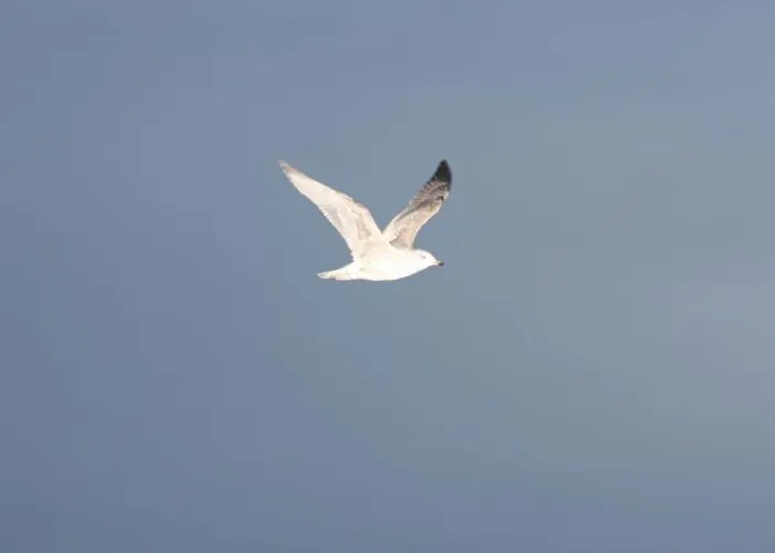 شقة Ferienbungalow Buhne Mit Kamin In بولتينهاجين