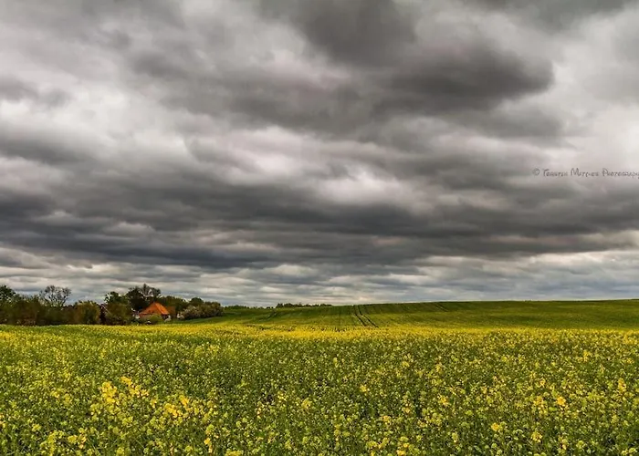 Ferienbungalow Buhne Mit Kamin In *